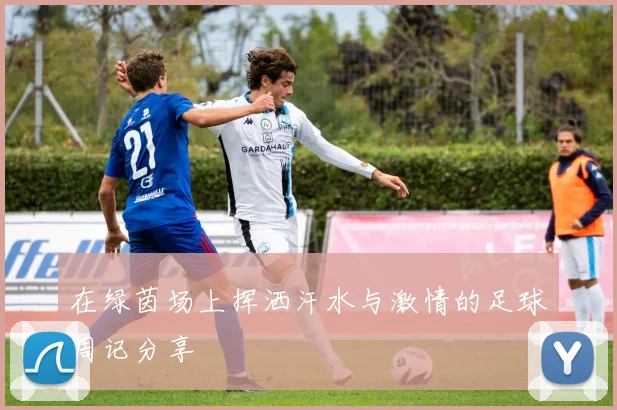 在绿茵场上挥洒汗水与激情的足球周记分享