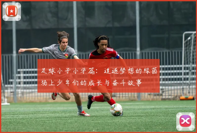 足球小子小学篇：追逐梦想的绿茵场上少年们的成长与奋斗故事