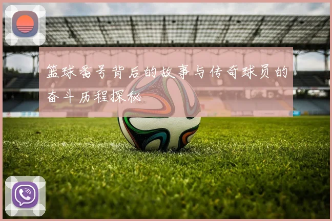 篮球番号背后的故事与传奇球员的奋斗历程探秘