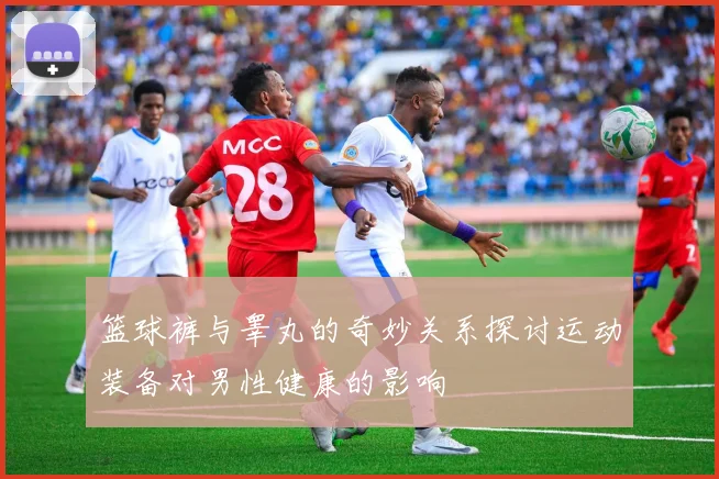 篮球裤与睾丸的奇妙关系探讨运动装备对男性健康的影响