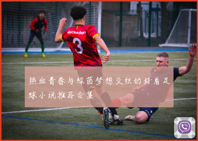 热血青春与绿茵梦想交织的好看足球小说推荐合集