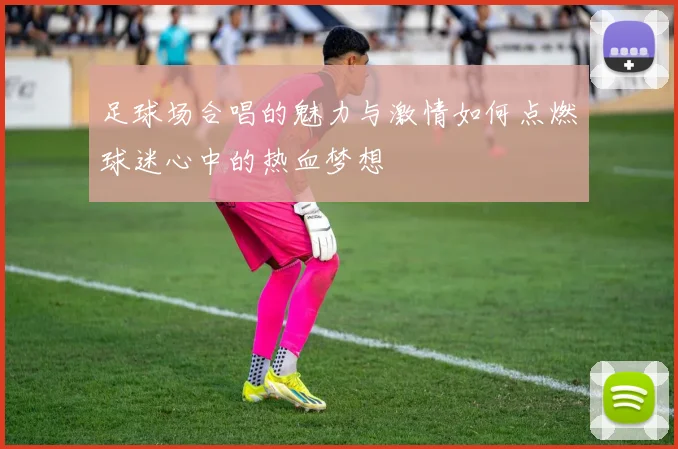 足球场合唱的魅力与激情如何点燃球迷心中的热血梦想